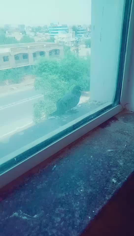 @laluri