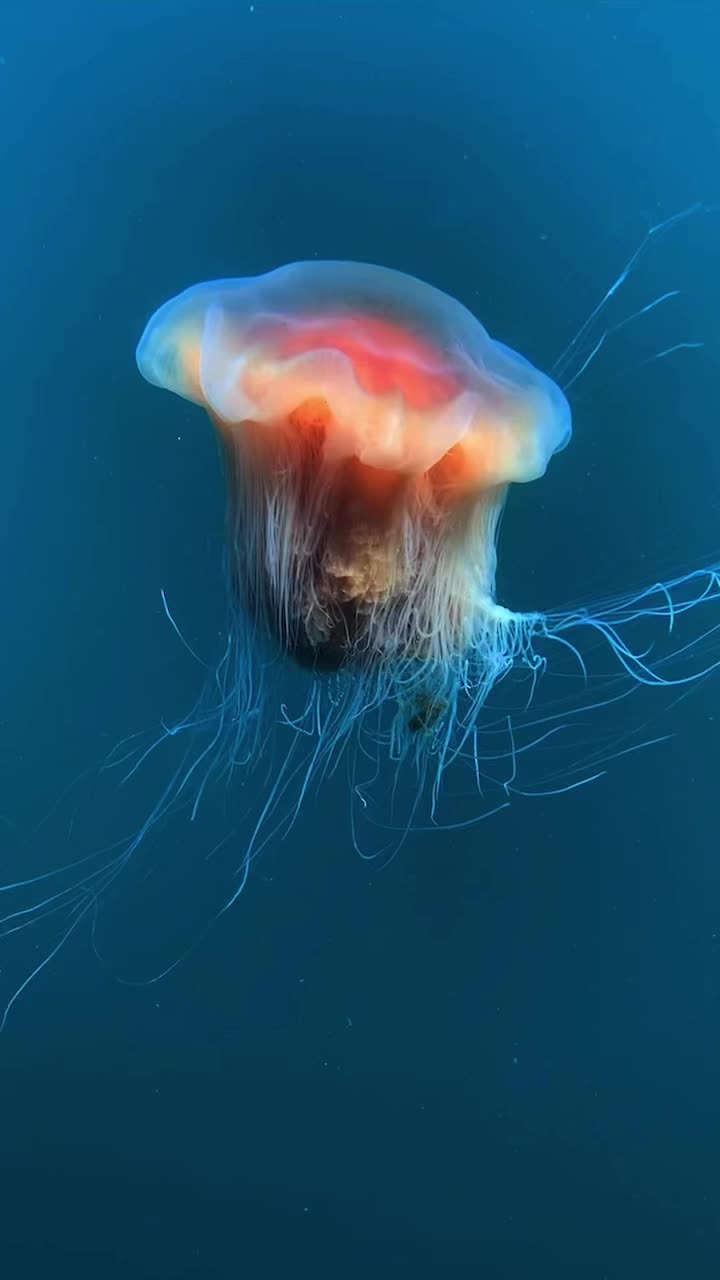 @The_story_of_a_biologist
