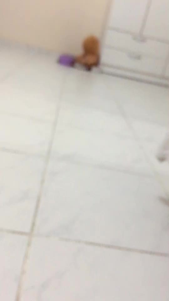 @Meryem