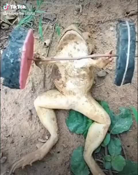 @@ papa ki pari 1
