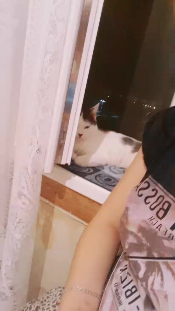 @Ника _томик
