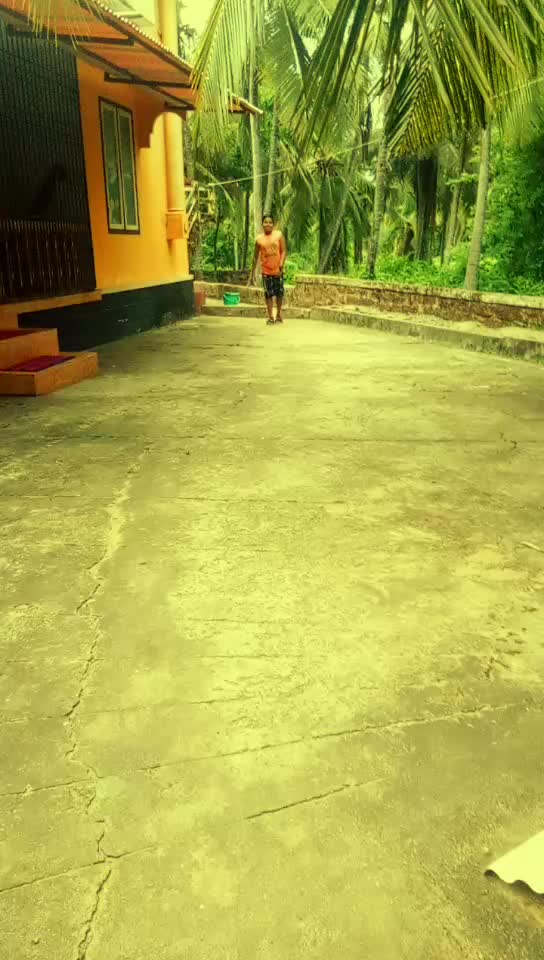 @Dildev