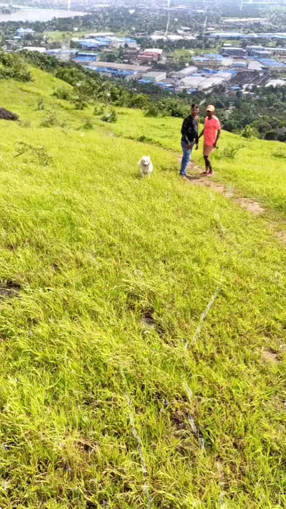 @Monish Patil Mp