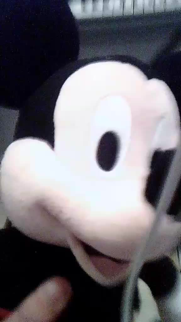 @tiktok plushes