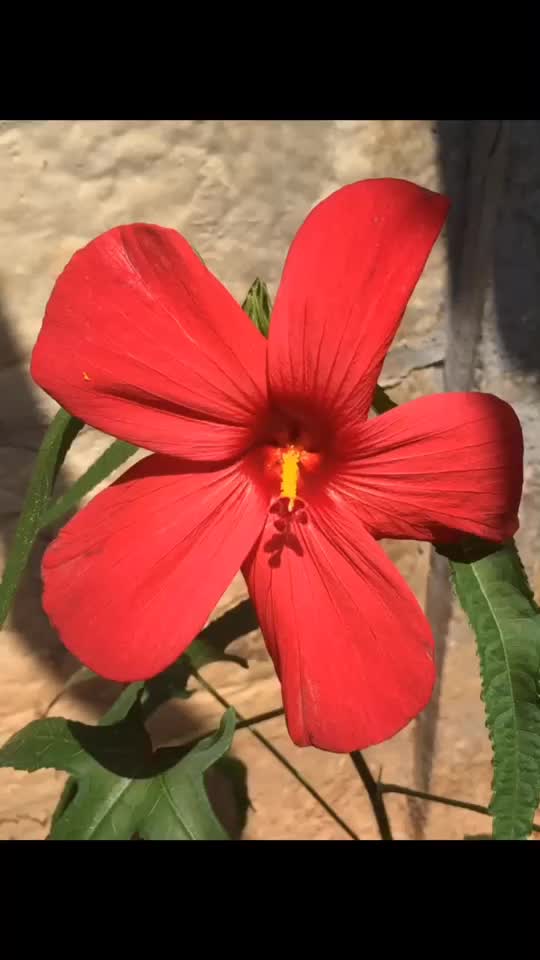 @user2451091710181