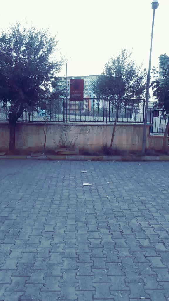 @Furkan.algemi