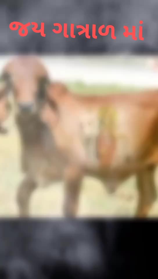 @🙏🐄જય દ્વારકાધીશ🐄