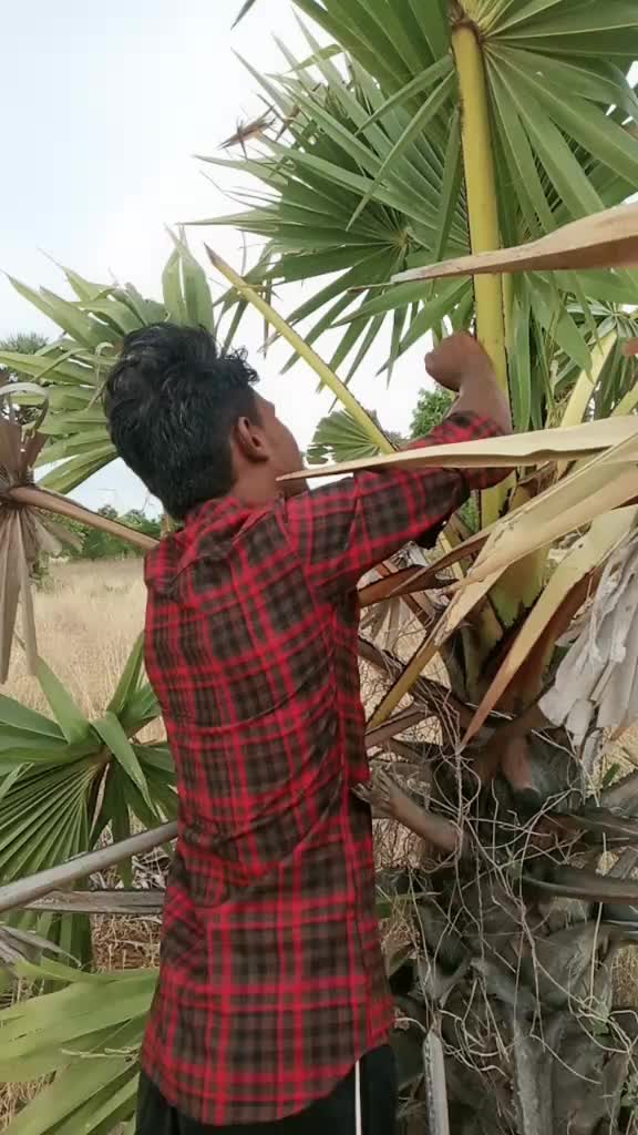@Thala Dharma