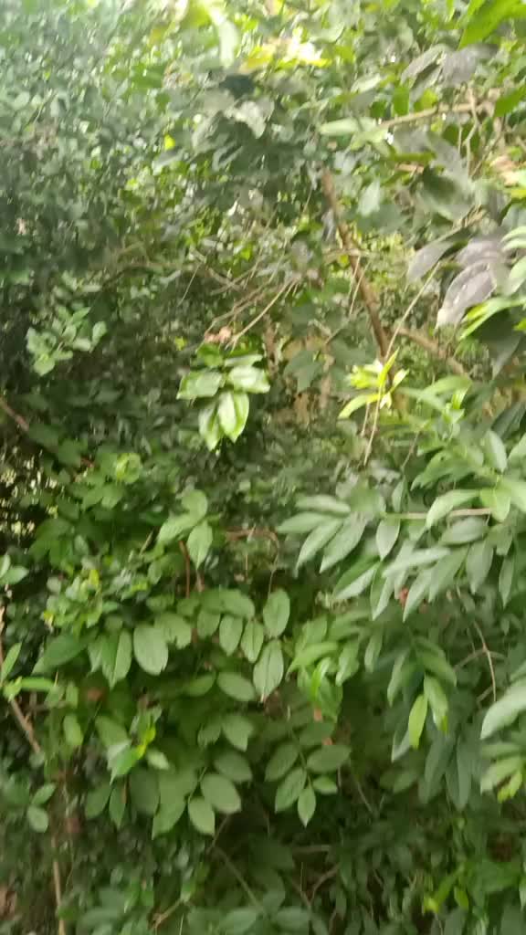 @Gopinath Khatua