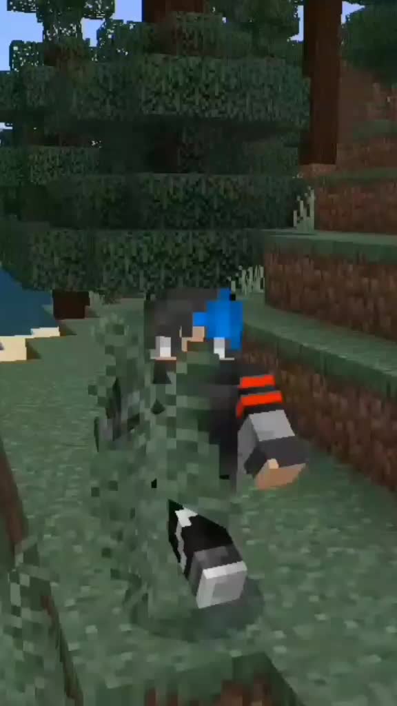 @Feward Tiktok