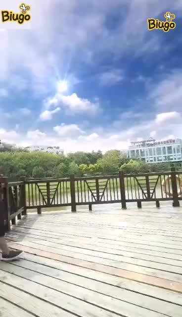 @SunnyYadav688