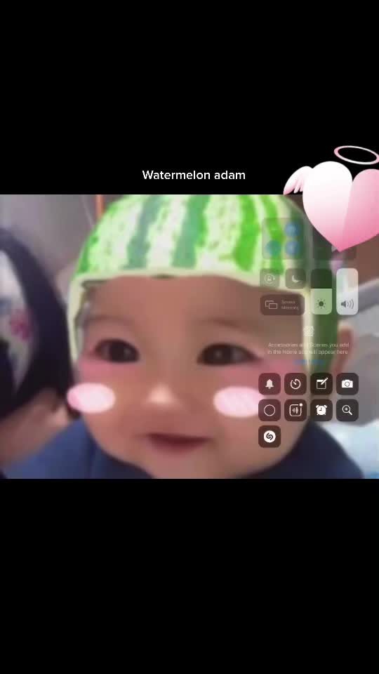 @twinnies_adam.aer