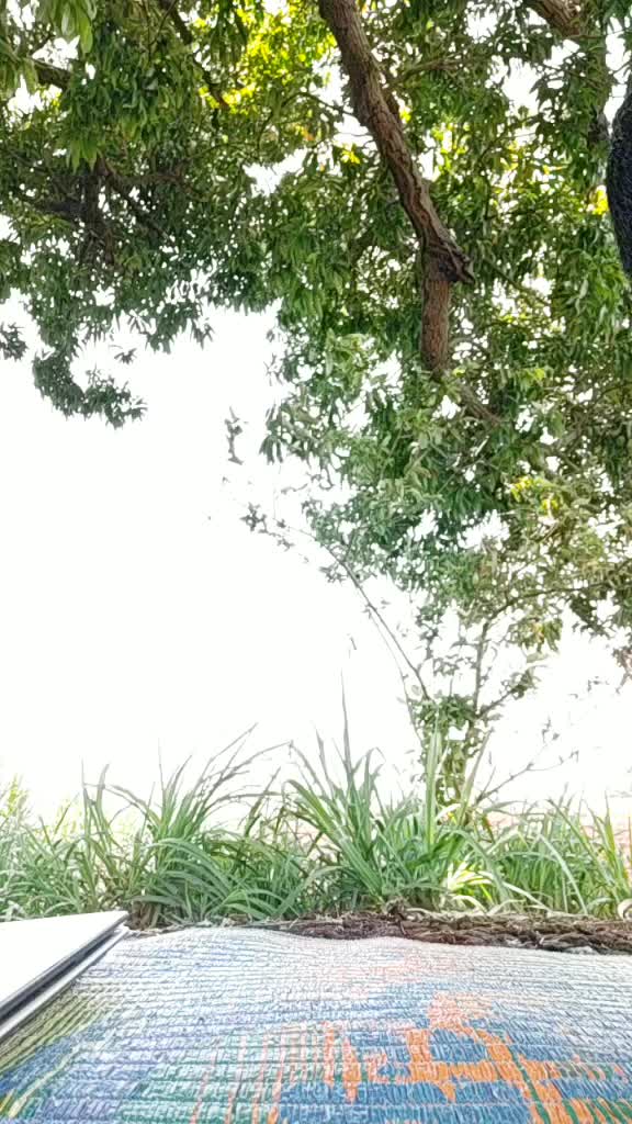 @Omkar Parit
