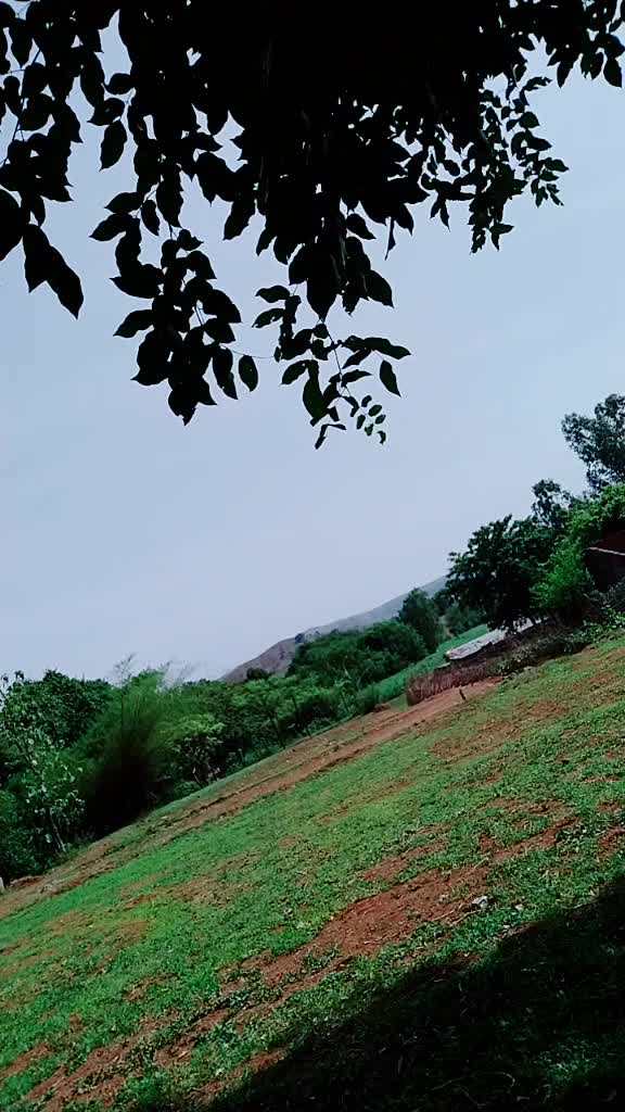 @सोन्या चिंचोलकर