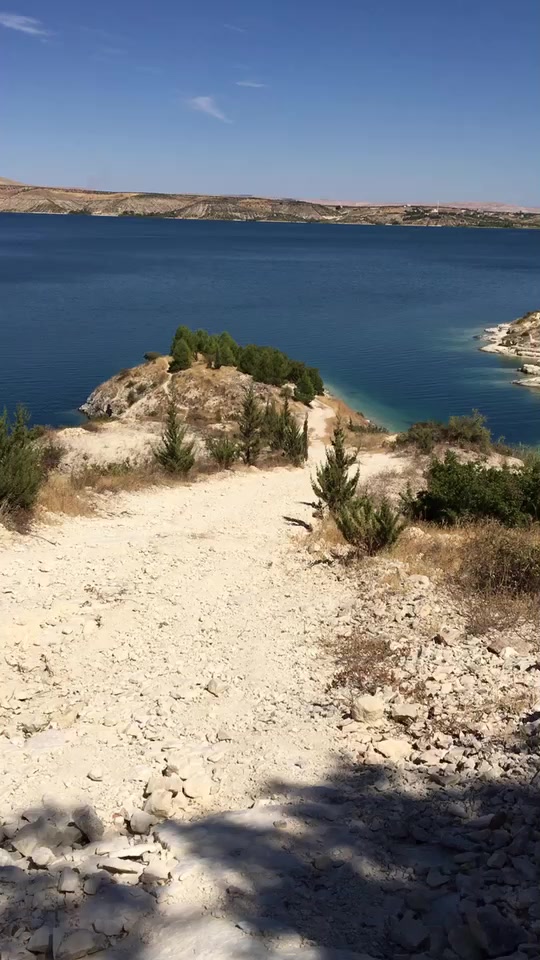 @Mahmut