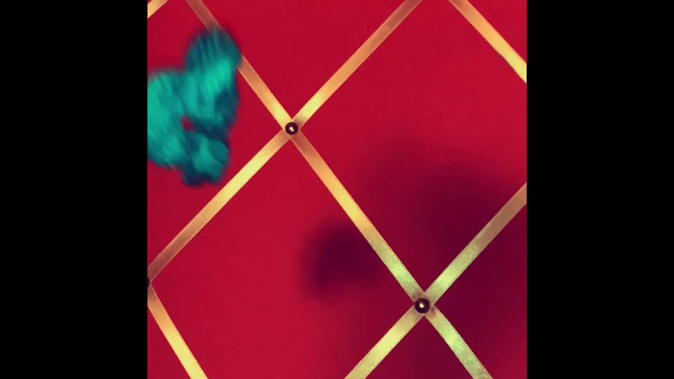 @Šüñńïêš ッ