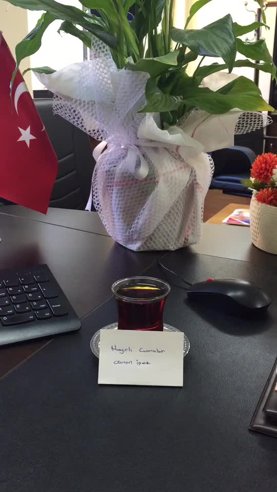@osman ipek 3858