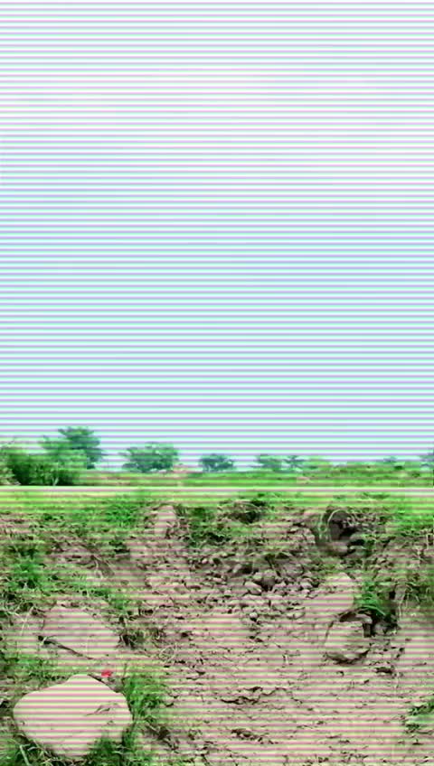 @Taimur Tarar