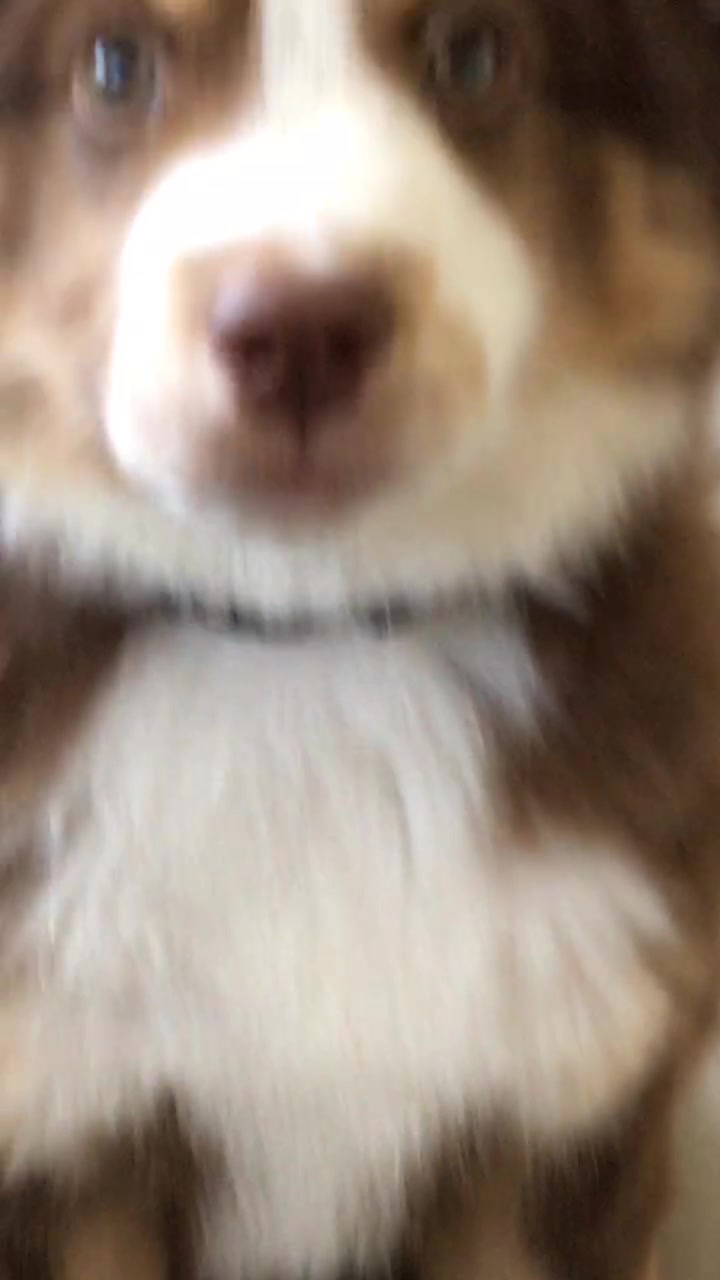 @ᗷoᗷo! 🧸