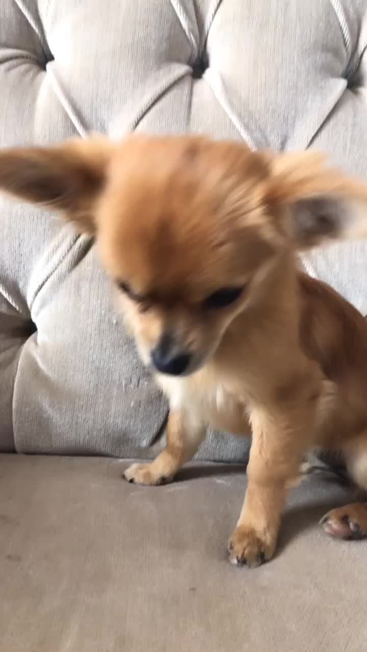 @Baby.tiny