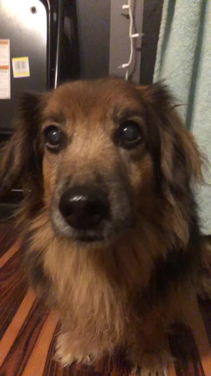 @💛✨Nova✨💛