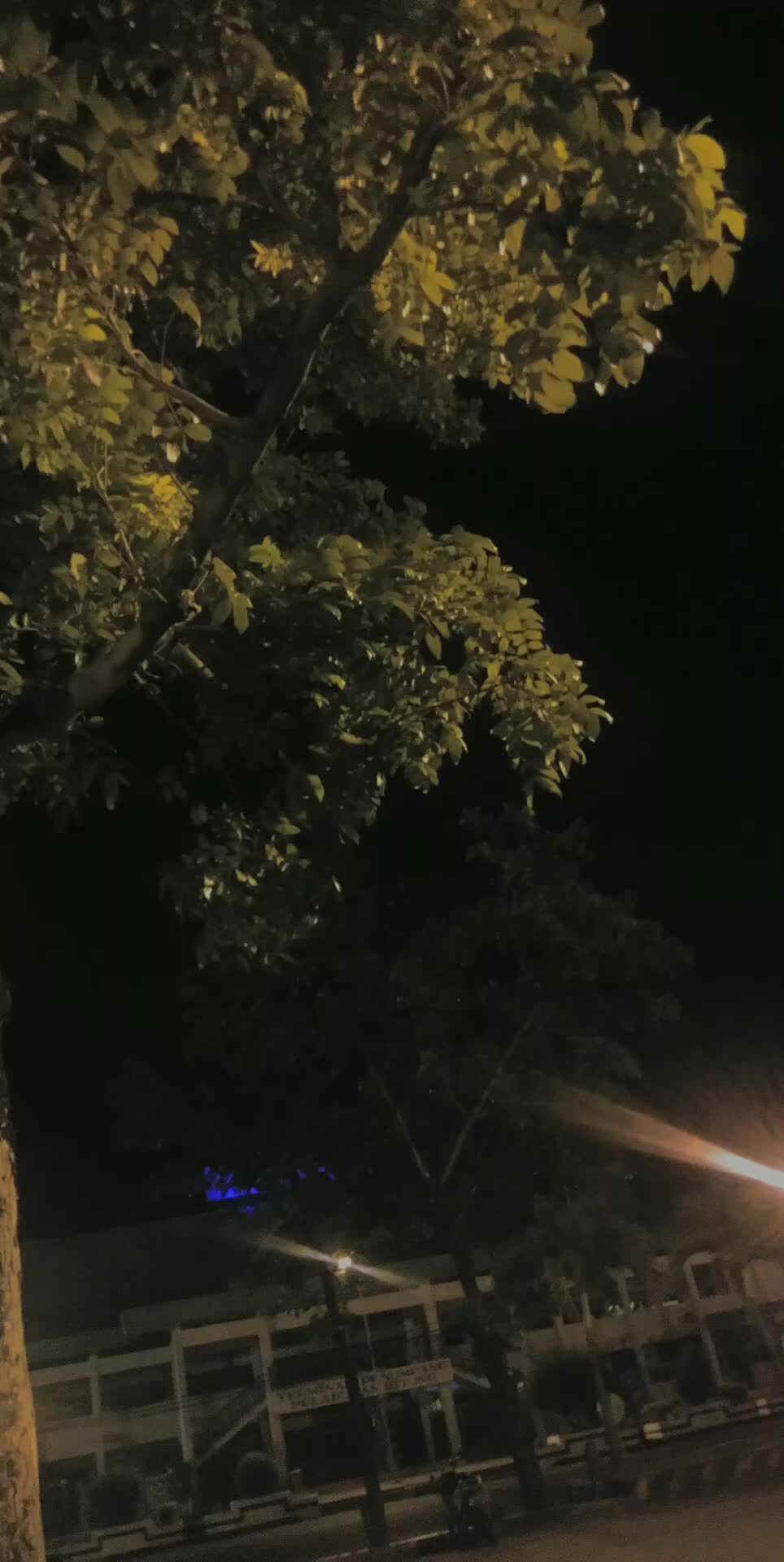 @dhinsee_