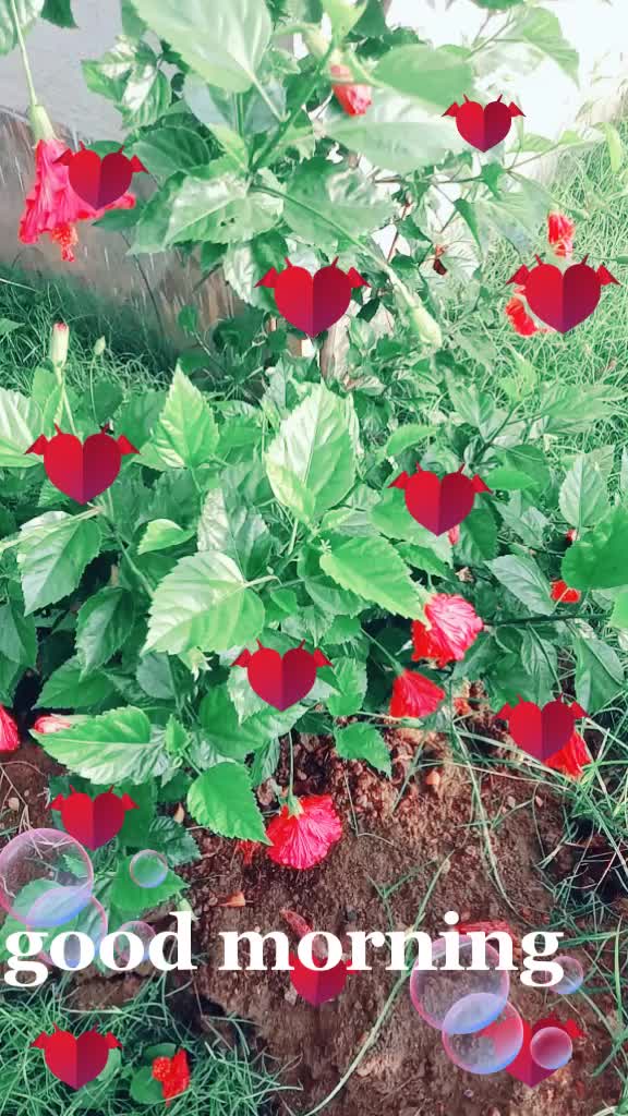 @Durgesh kumar Kewat