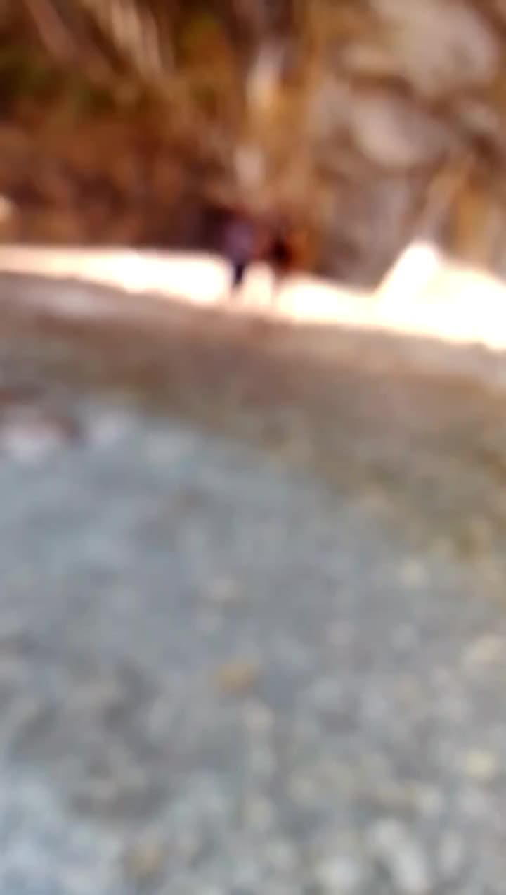 @Fateh.mohd