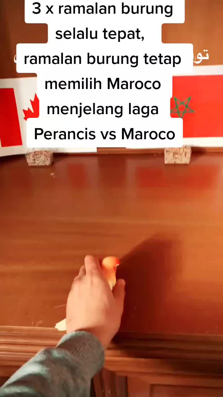 @agoenk_agn