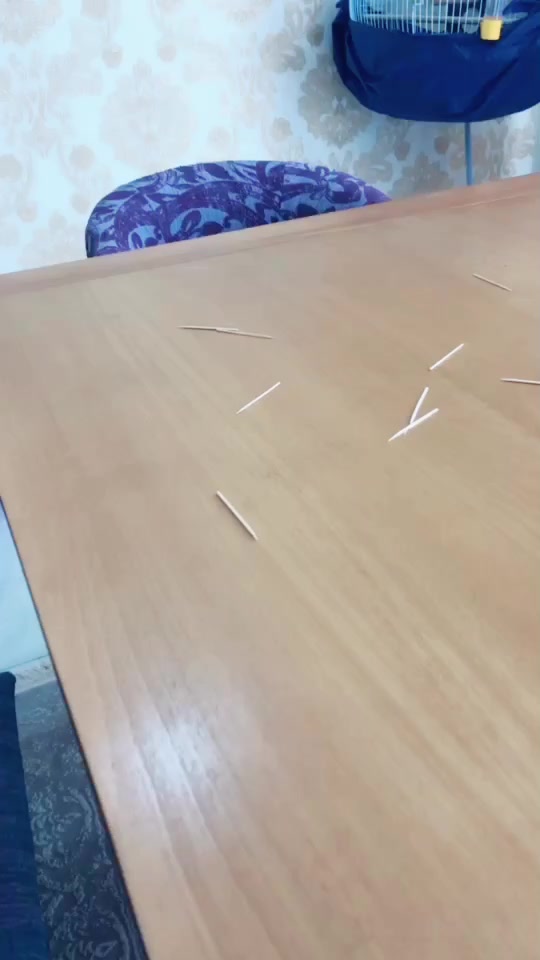 @saborianali