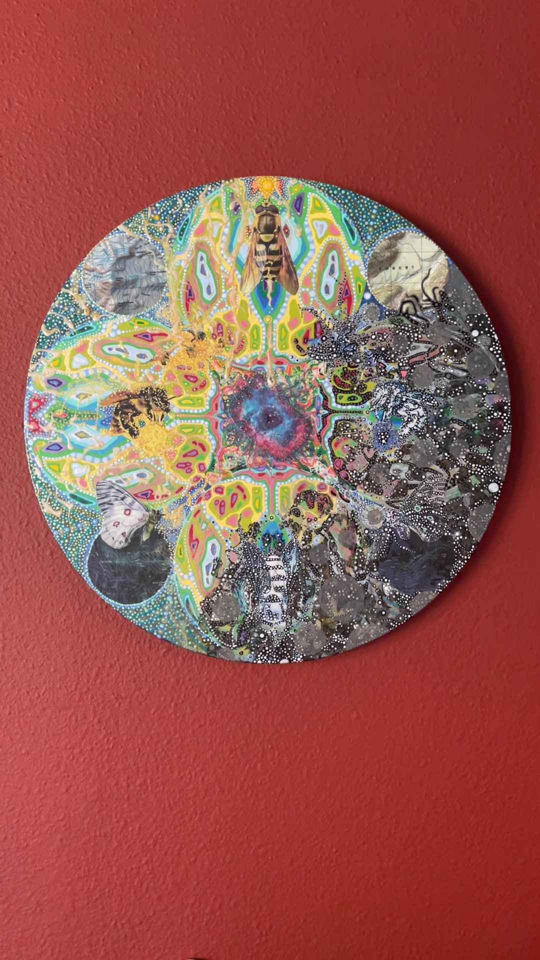 @VividGenesis