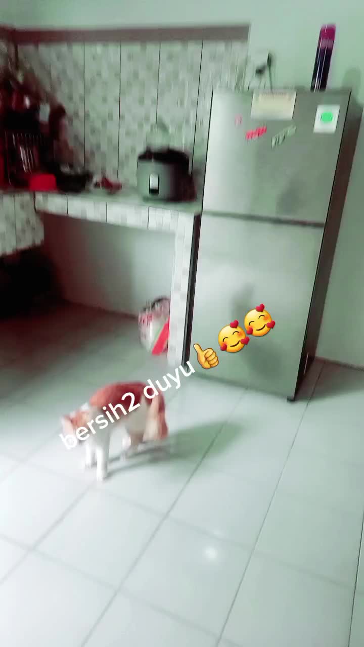 @astutiAE
