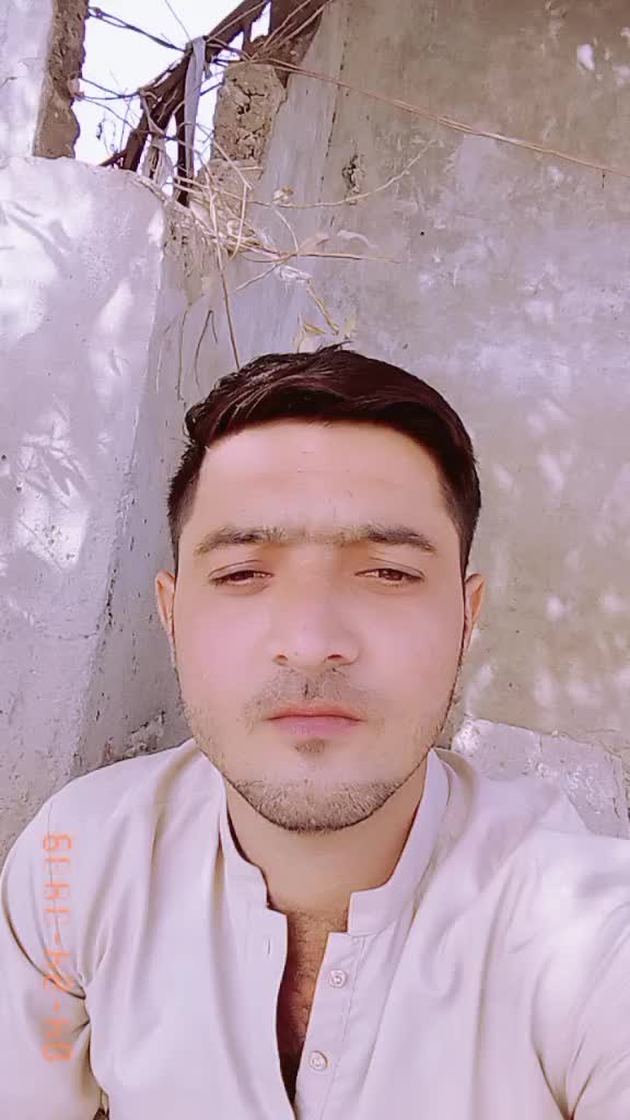 @619 basha