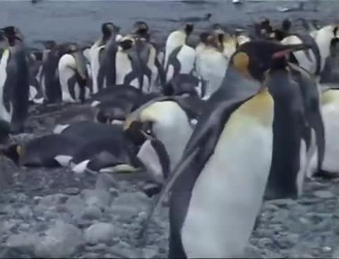 @Mating