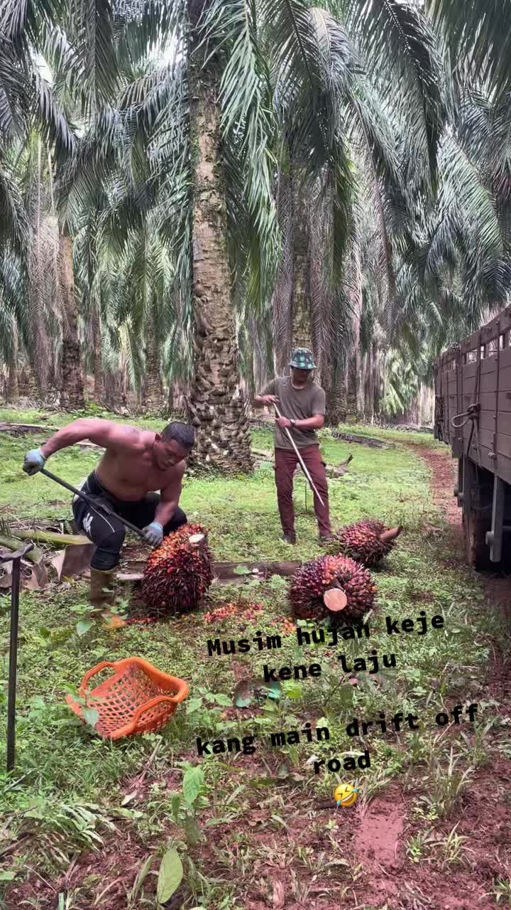 @BangParut