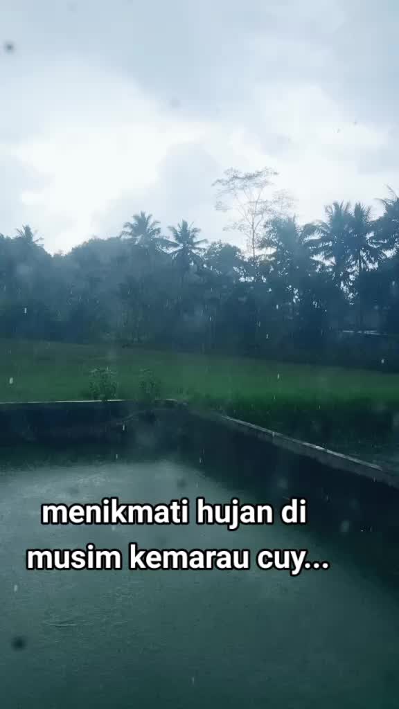 @rumput liar....