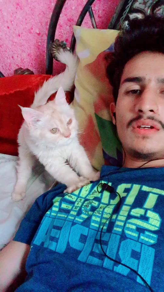 @Momin Malik