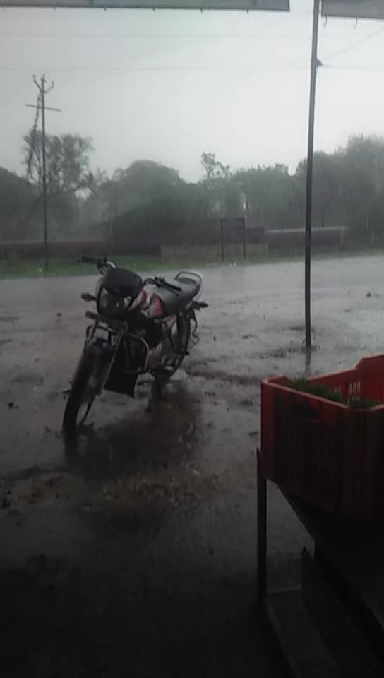 @शिवानी ताई कट्टर समर्थक