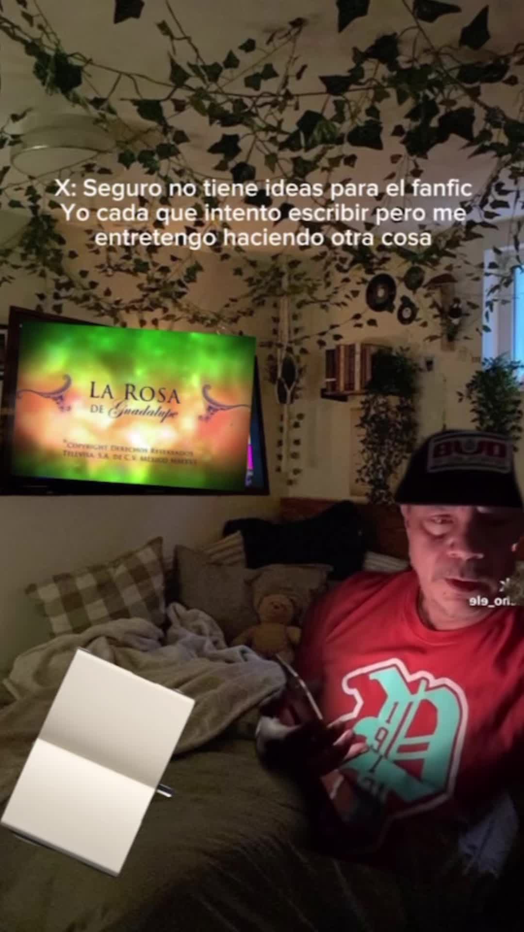 @Loli