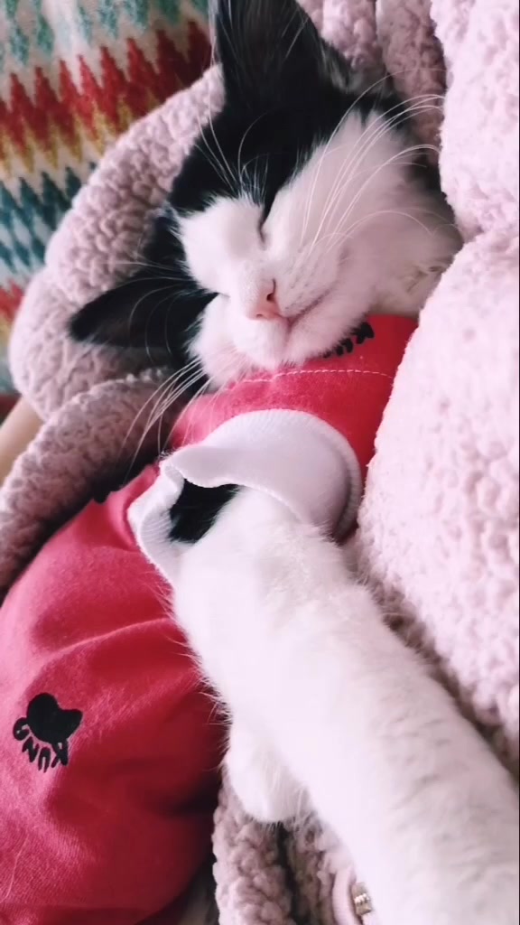 @If I fits I sits