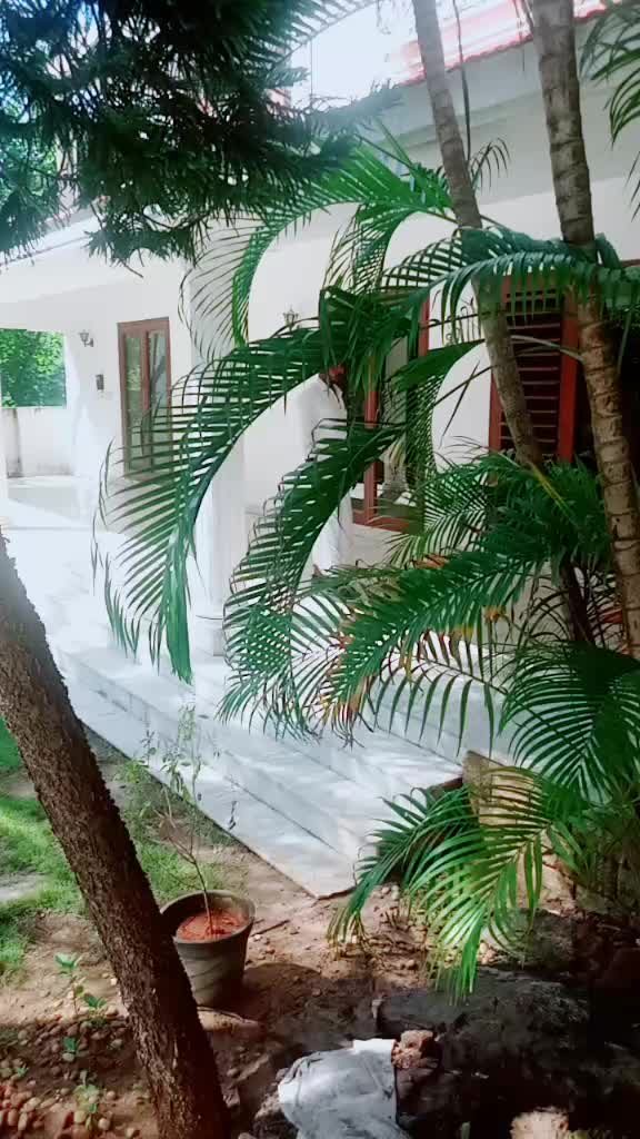 @mbalaji
