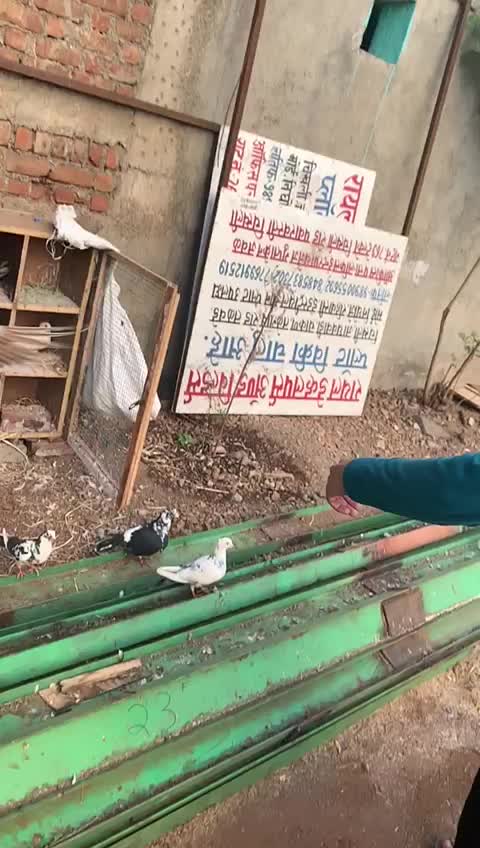 @Irrshad Khan