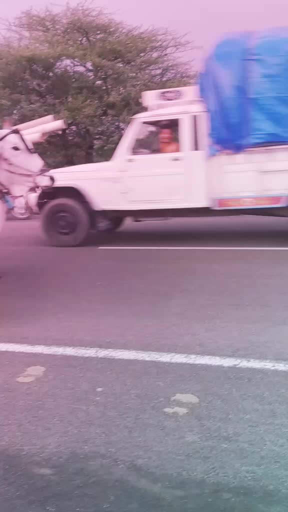 @🔥Sem kanoje 😊