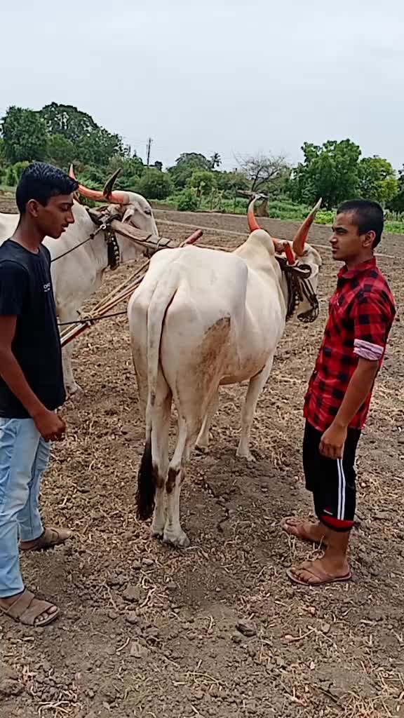 @Yash Dhage