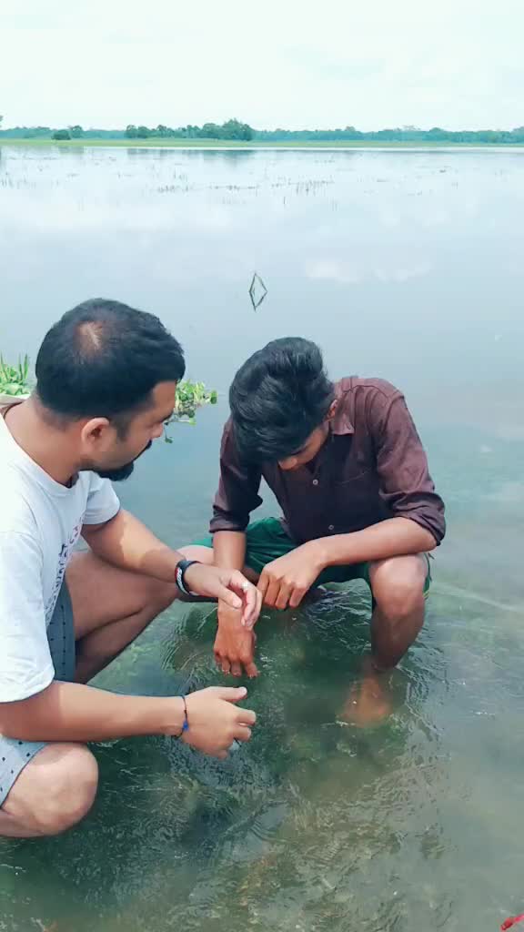 @Pulak Choudhury