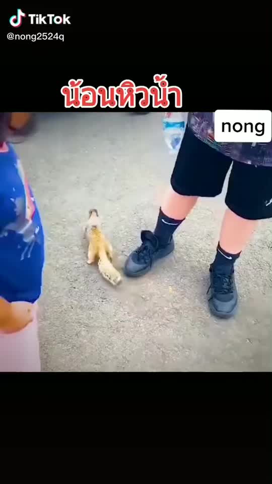 @คนสร้างฝัน