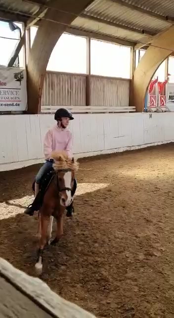 @Pony.gruppe❤️✨