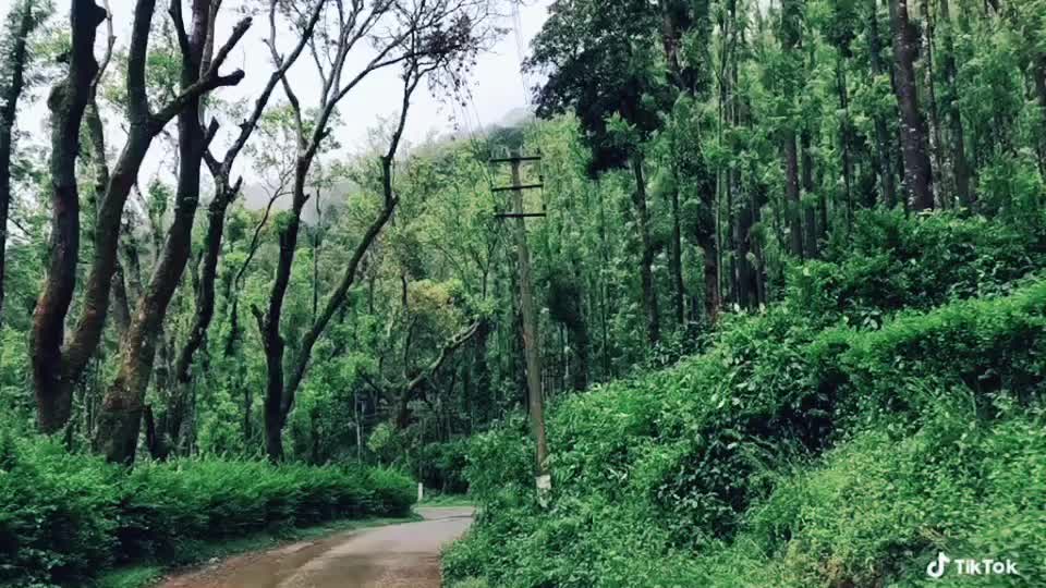@Vinod kumar T v