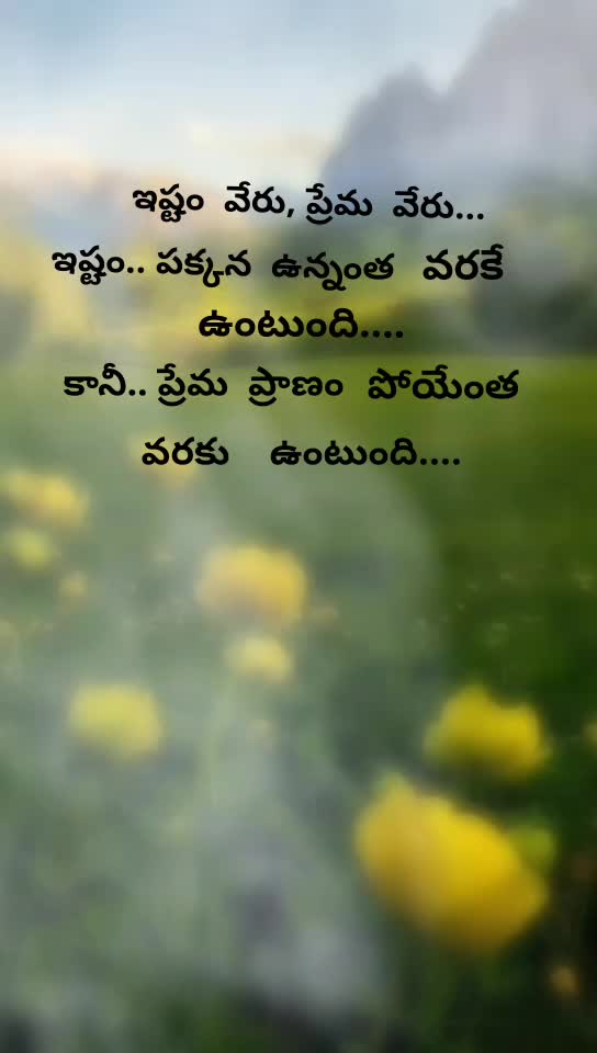 @Rowdy pilla