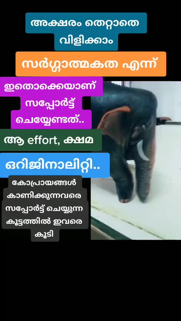 @അതിഥി കൊല്ലം